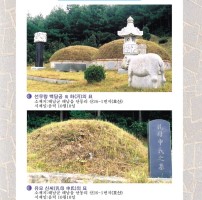 023-백당공-유모신씨묘.jpg